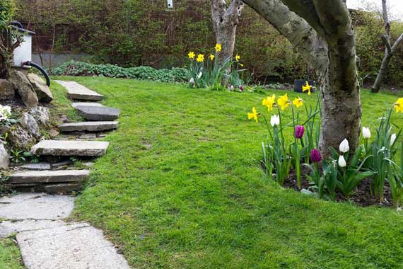 Garden Maintenance