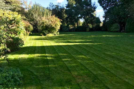 Garden Maintenance